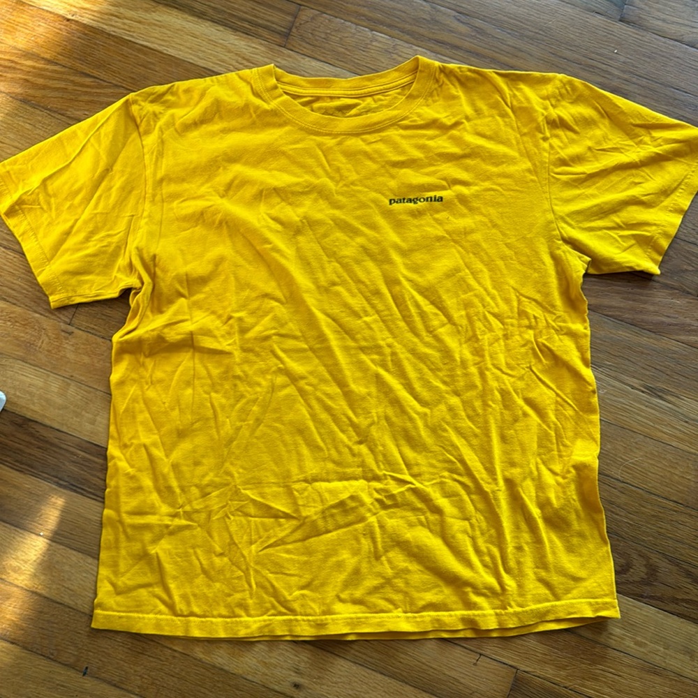 Patagonia Tee Shirt